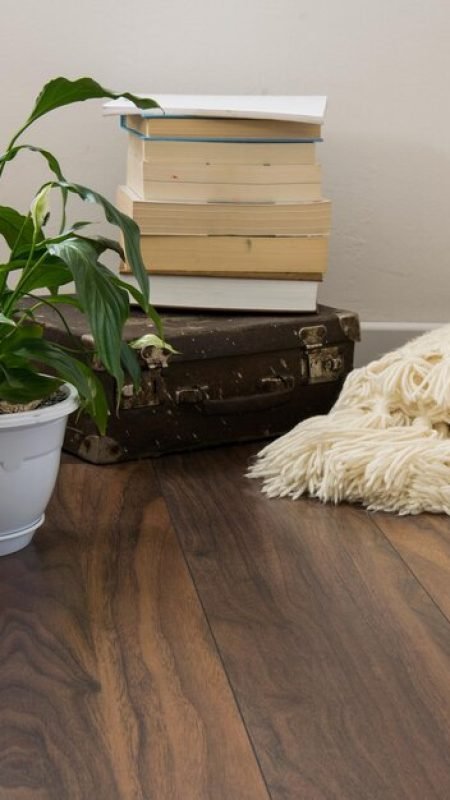 high-angle-view-potted-plant-table-home_1048944-6844328